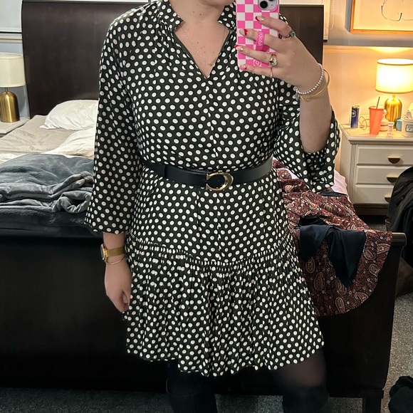 Khaki polka dot Witchery mini dress - Picture 4 of 4